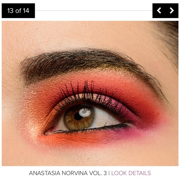 Anastasia Beverly Hills Norvina Vol 3 Pro Pigment Palette - Picture 13 of 15